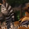 Madagascar Movie🎥🦁🦒🦓🦛✨ 20