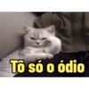 Memes engraçado 7