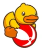 Male Duck 8
