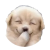 Many laughs 7