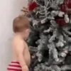 Kids Funny Reactions  10