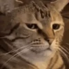 GIFs Triste 17