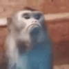 Animados Shitpost 🤭🥵 11