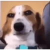 Animados Shitpost 🤭🥵 9