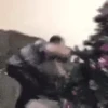 тик ток щенки 18