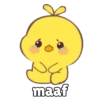 Ciki 🐣 10