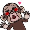 Monkey 5