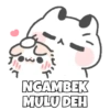 Miaw 14