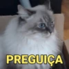 Figurinhas para whatsapp 8