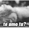 CATS 😸 15