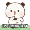 Panda Bucin Life 13