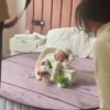 🎵 TIKTOKeando 1🎵 8