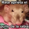 Mouse, squeeze the mad little butt