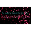 Valentine Day  5