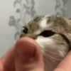 Love Memes 9