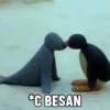 PINGU 16
