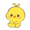 Ciki 🐣 14