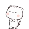 Kucing Cute Dua 15