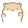 Hamsters 🐹✨ 14