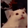 Funny Animated 8