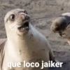 Memes Facheritos😎 14