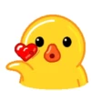 Male Duck 15