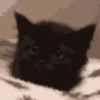 Random Mov 01 5
