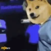 Cheems 11