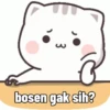 Peach Cat (5) 13