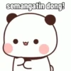 Cute Panda~ 21