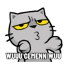 Meowww 12