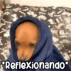 Animados New 7.0 6