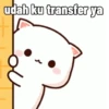 Peach Cat (5) 8