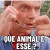 NOVOS MEMES🥴 8
