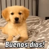 🌝Colección de Random 2🌚 5