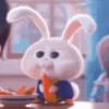 Snowball Rabbit 🐰🥕 Mov 11