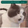 Eliminaste este mensaje. 02:08