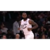 LeBron James 5