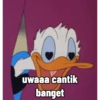 Donald duck 9