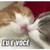 CATS 😸 12