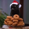 🐱Michis en Navidad🎁🎄 13