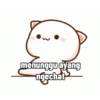 Meong Bucinn 14