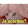 Memes diferenciados 2 5