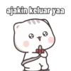 Kucing Cute Dua 14
