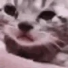 Random Mov 01 8