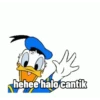 Donald duck 6