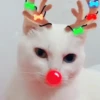 🐱Michis en Navidad🎁🎄 6