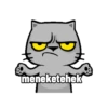 Meowww 7