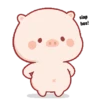 Babi gemoyy 10