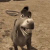 E é meme é? 16